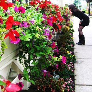 Meet your Posher, Noelle